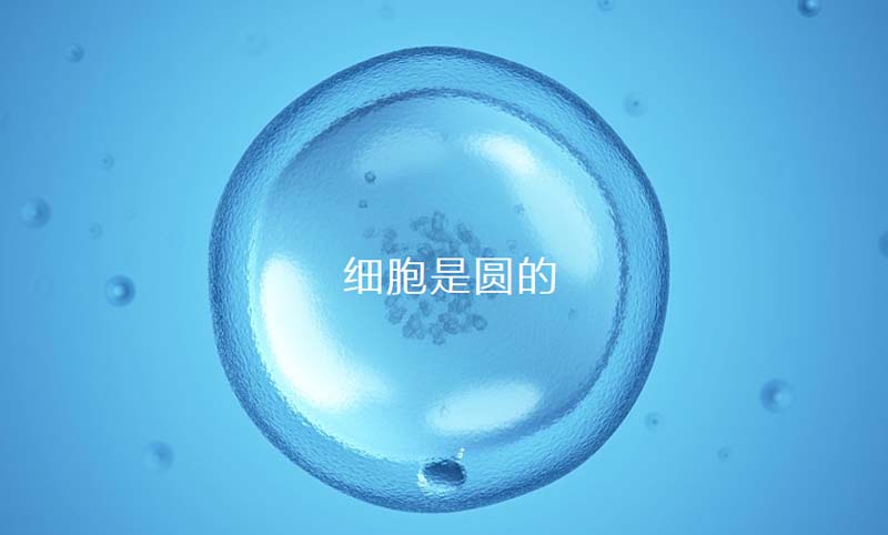 中至生物：大道至簡·品牌百萬級(jí)LOGO升級(jí)引爆品牌氣質(zhì)！