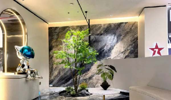 大將軍陶瓷全案：戰(zhàn)略落地一年，招商200+，金額破億元
