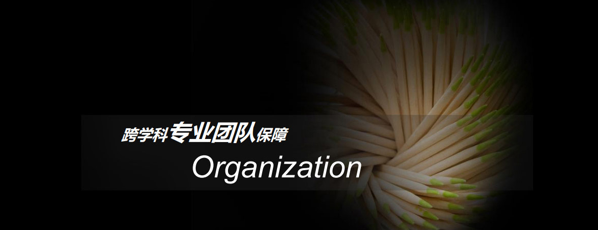 跨學(xué)科專業(yè)團隊保障